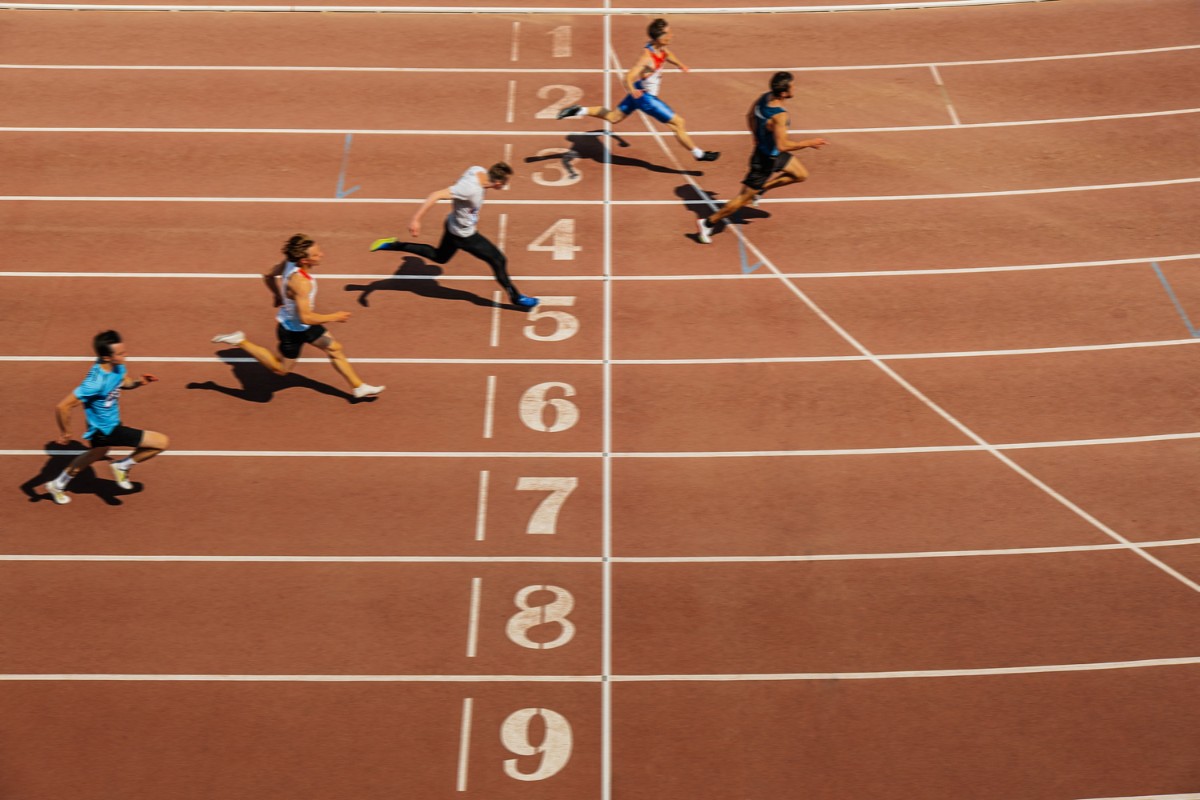 Ontwerp zonder titel corylus advies